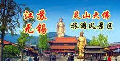 欧美插穴视频下载江苏无锡灵山大佛旅游风景区